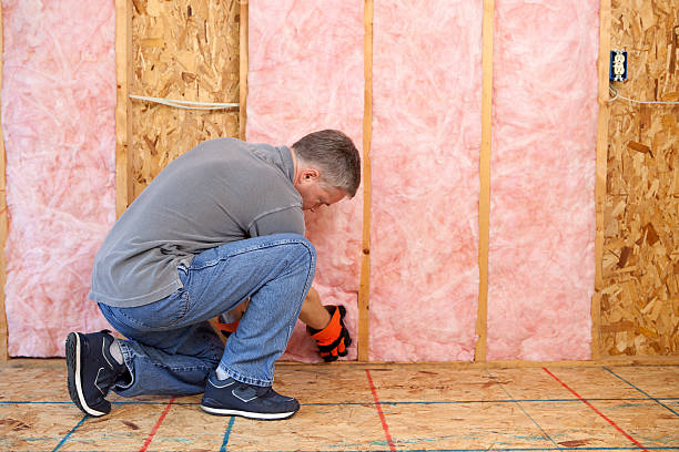 Best Affordable Insulation Services  in Antwerp, OH