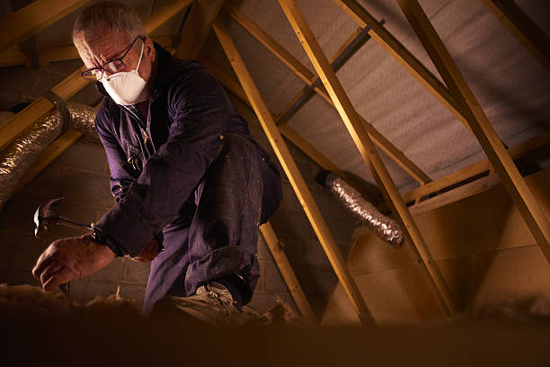 Best Residential Insulation Services  in Antwerp, OH