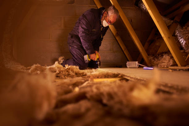 Best Insulation Repair Services  in Antwerp, OH